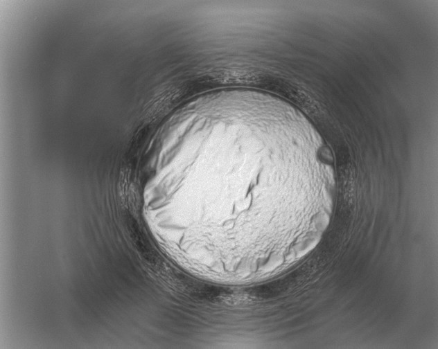 X0000056360695200509232132