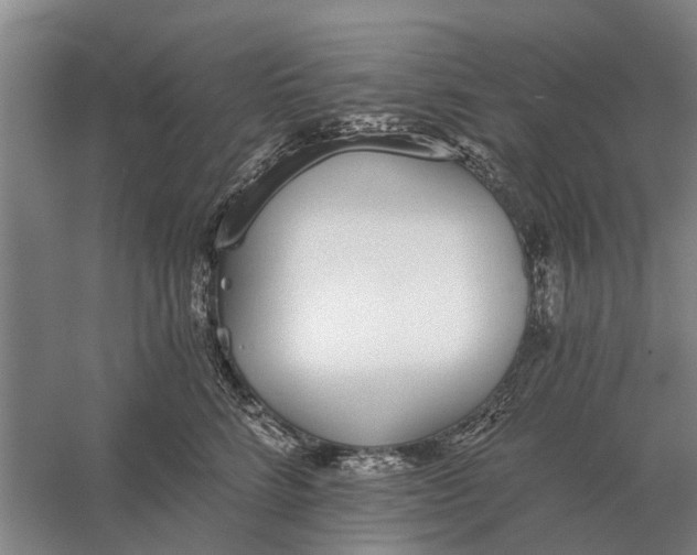 X0000056360712200509232131