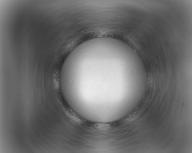 X0000056360719200509232131