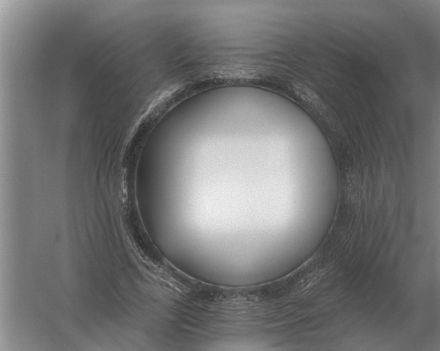 X0000056360731200509232131