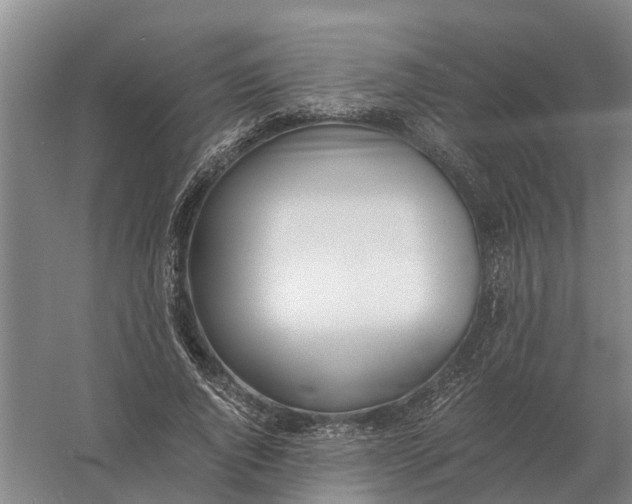 X0000056360736200509232131