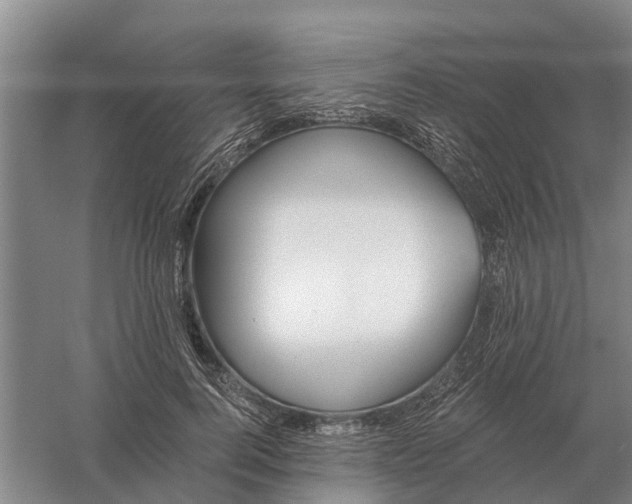 X0000056360744200509232131