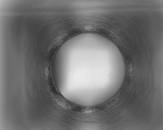 X0000056360746200509232131