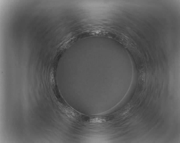 X0000056360754200509232131
