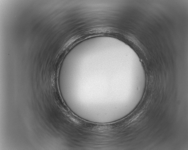 X0000056360778200509232130