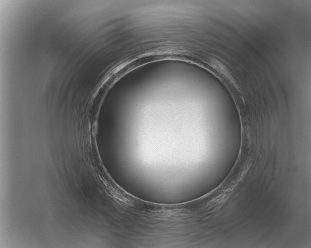 X0000056360781200509232130