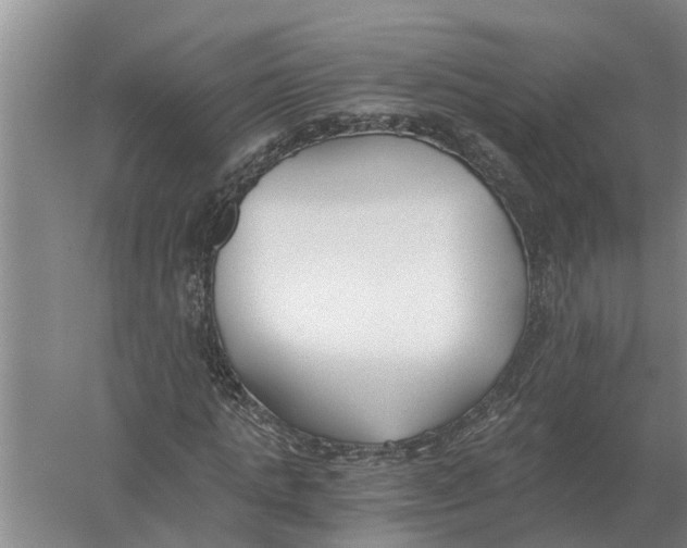 X0000056360821200509232129