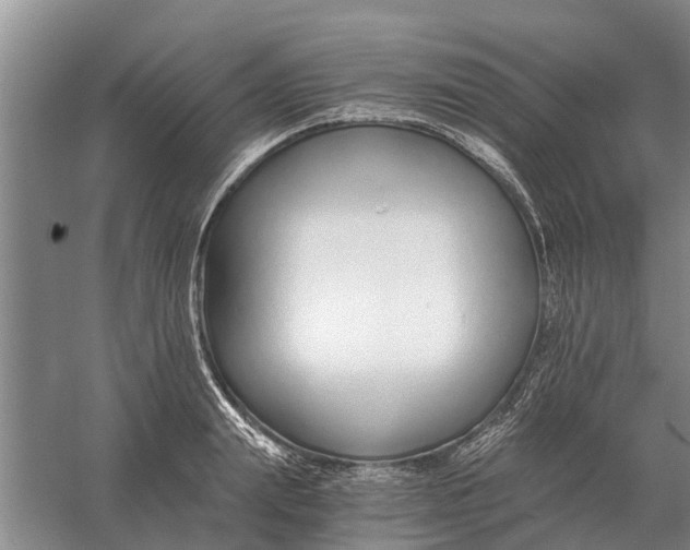 X0000056360847200509232129