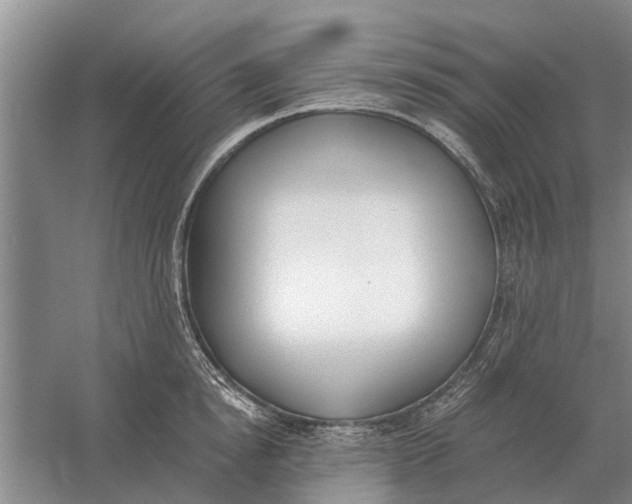 X0000056360854200509232130