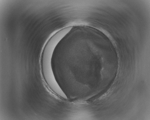 X0000056360864200509232130