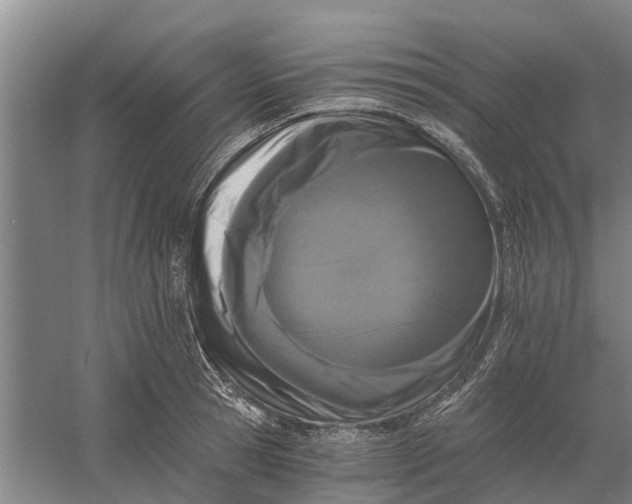 X0000056360945200509232128
