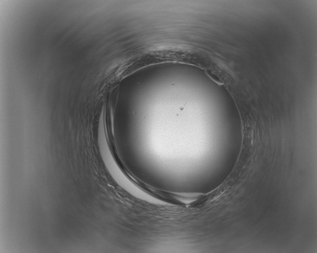 X0000056360965200509232127