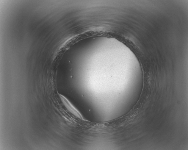 X0000056360968200509232127