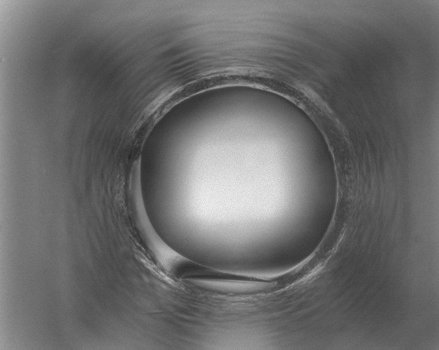X0000056360969200509232127