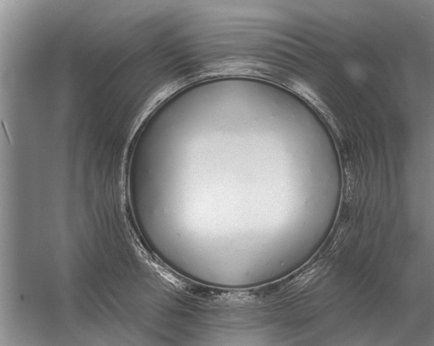 X0000056360994200509232127