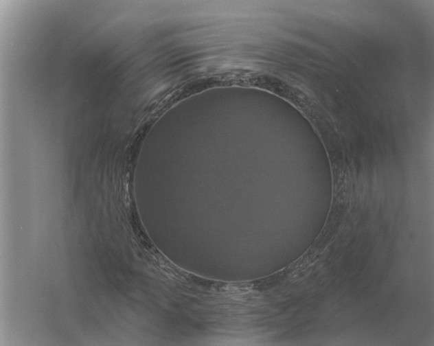 X0000056361013200509232126
