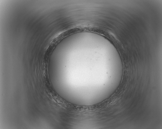 X0000056361016200509232126