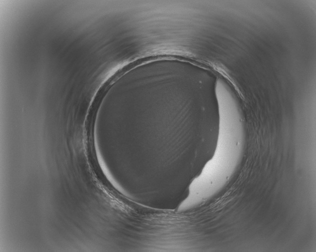X0000056361024200509232126