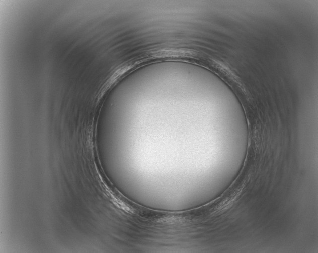 X0000056361033200509232126