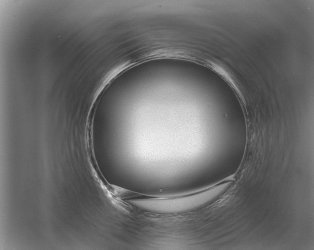X0000056361050200509232126