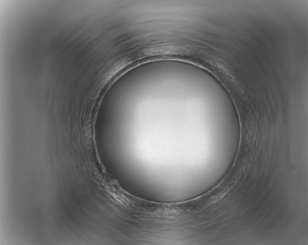 X0000056361073200509232125