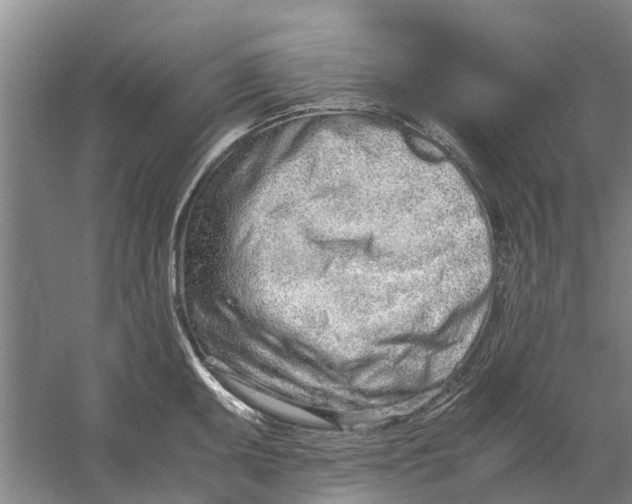 X0000056361095200509232125