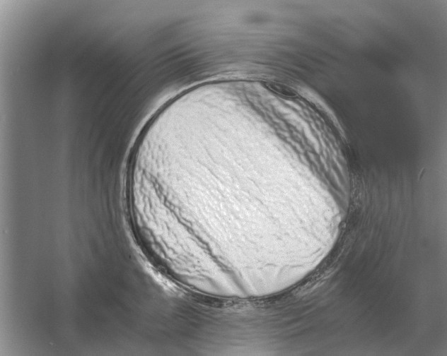 X0000056361099200509232125
