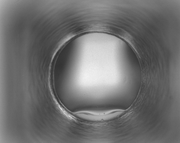 X0000056361139200509232125