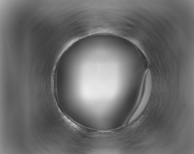X0000056361151200509232125