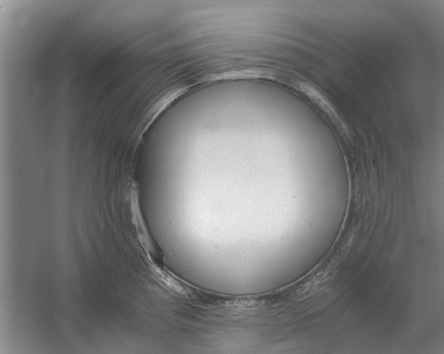 X0000056361193200509232123