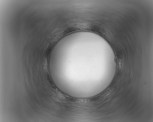X0000056361251200509232122