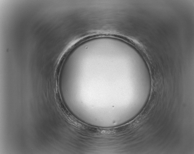 X0000056361271200509232122