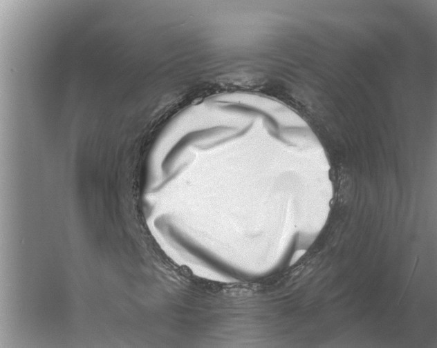 X0000056361297200509232121