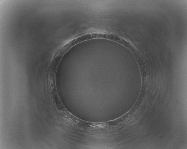 X0000056361303200509232121