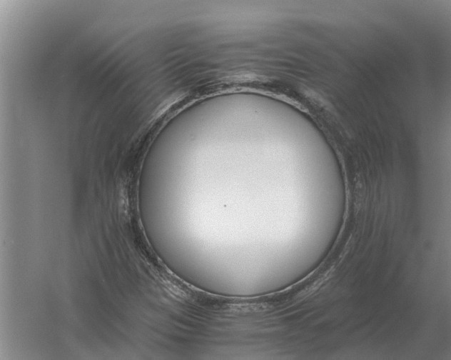 X0000056361305200509232121