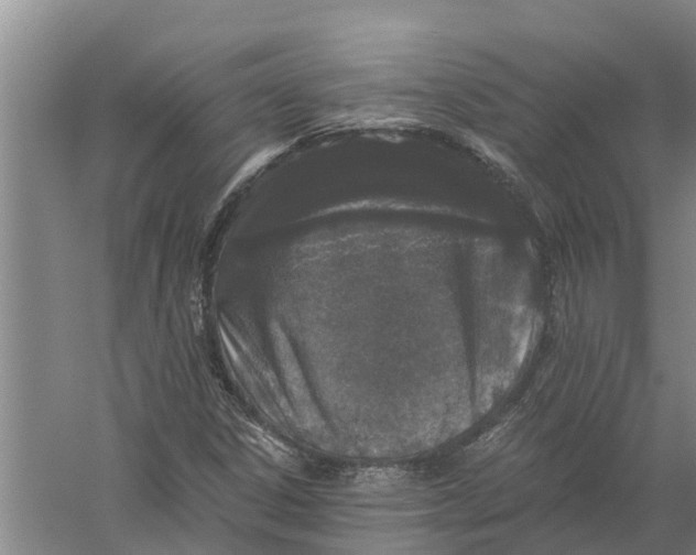 X0000056361306200509232121