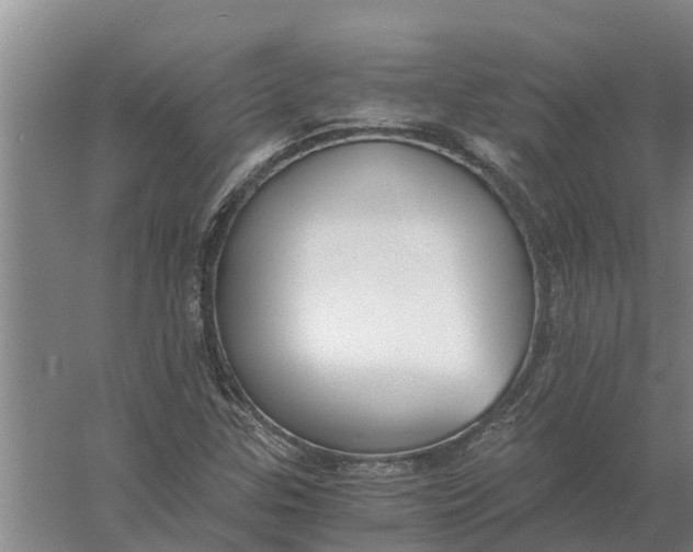 X0000056361307200509232121