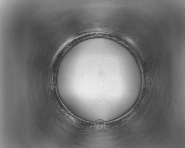 X0000056361310200509232121