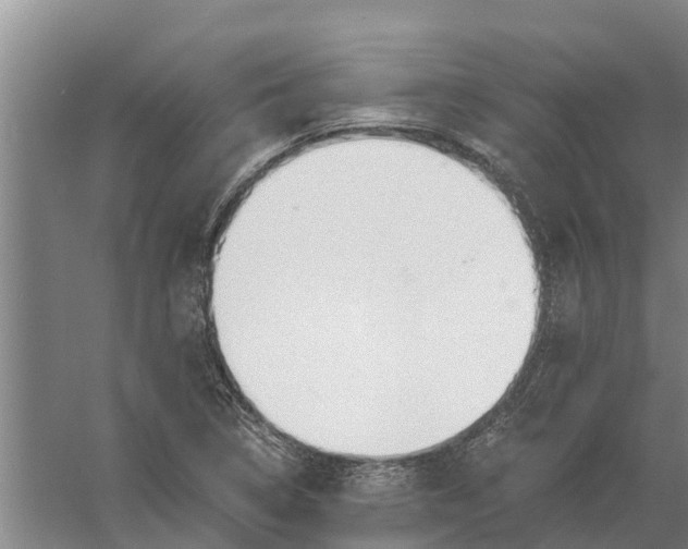 X0000056361314200509232121