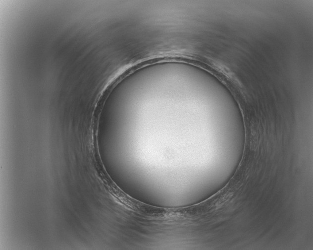 X0000056361316200509232121