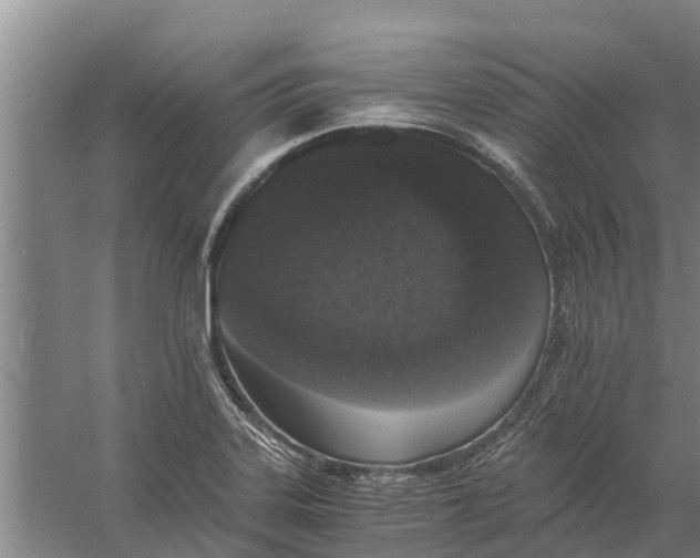 X0000056361323200509232121