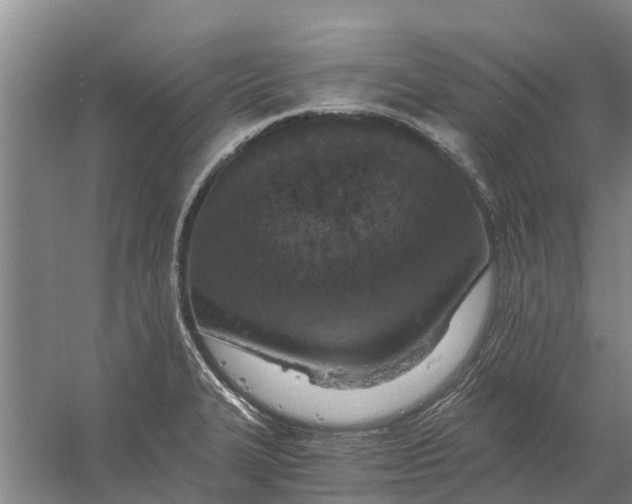 X0000056361327200509232121