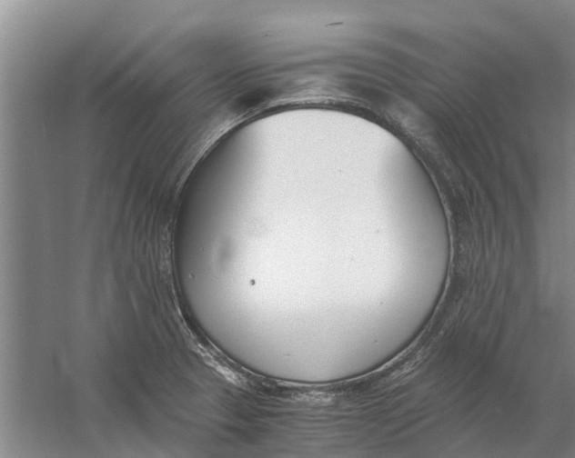 X0000056361329200509232121