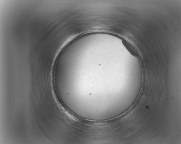 X0000056361333200509232121