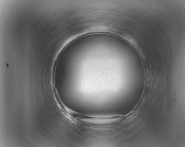 X0000056361342200509232121