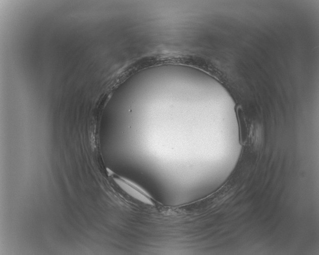 X0000056361348200509232121