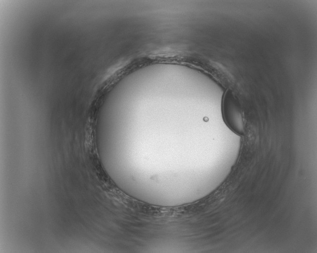 X0000056361350200509232121