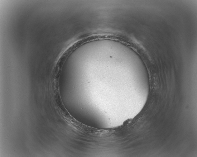 X0000056361352200509232121