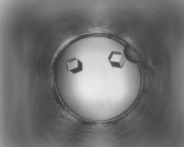 X0000056361358200509232120