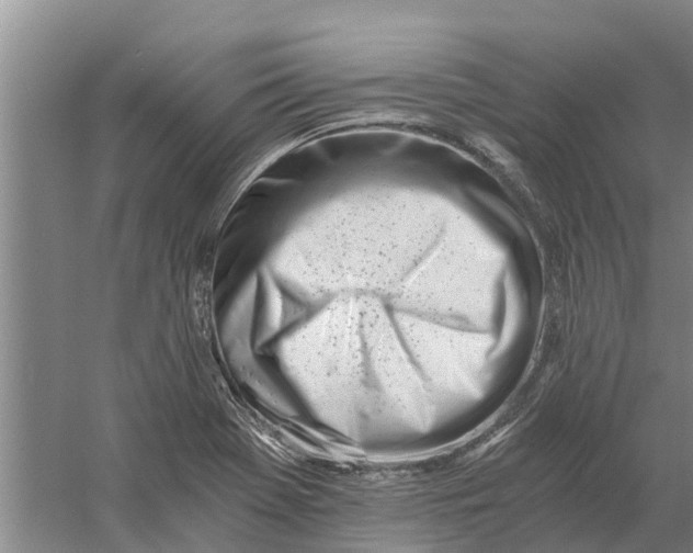X0000056361369200509232120